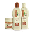 Kit Bio Extratus Umectante Óleo de Coco Shampoo 250ml + Condicionador 250ml + Banho De Creme 250g